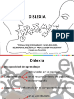 Dislexia2014 Tucuman