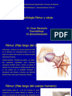 19 Femur y Rotula