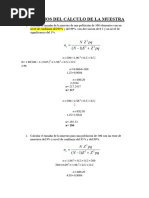 Ejercicios Del Calculo de La Muestra 1