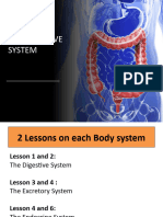 5C-Digestive System