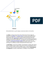 Antigen From Wikipedia and Others