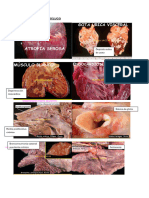 Ilovepdf Merged 8