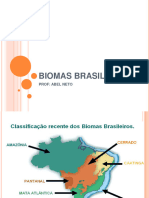 Biomas Brasileiros