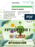 Fotosintesis I