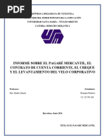 Informe Mercantil I T.10-11 y Levantamiento Velo Corporativo