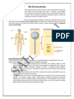 The Nervous System