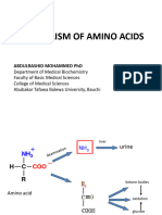 Mbbs II Catabolism of Aas