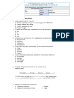 Pruebas Diagnòstico 2024