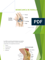 Patologias de Rodilla