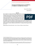 A Liquidez de Bauman em Ebulição Na Pandemia