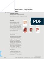 Surgery Illustrated Surgical Atlas