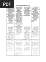 Modelo de Informe Descriptivo