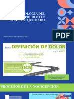 Fisiopatologia Del Dolor y Prurito en Paciente Quemado