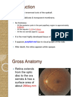 Anatomyofretina2 200507105652