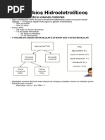 Distúrbios Hidroeletrolíticos (Aprendanefro) PDF