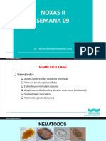 Teoria de Noxas Ii - Semana 9 - 11