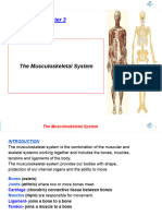 Revised Chapter - 3 - Google Slide - The Musculoskeletal System