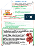 Iv-5g-Ciencia - Sistema Digestivo - Ficha