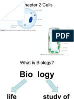 Chapter 2 Organisation of The Organism Biology