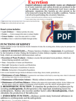 Excretory System