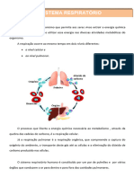 Sistema Respiratório