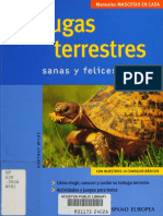 Terrestre: Tortugas