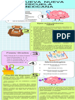 Infografia NEM