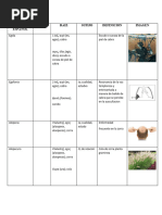 PALABRA DERIVADA DEL GRIEGO (Recuperado Automáticamente)