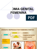 Anatomia Femenina