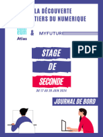 Journal de Bord Stage Virtuel Num Â Rique 2nde