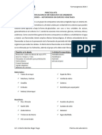 Práctica-N°6 - Identificacion de Flavonoides