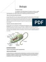 Biología y Matematicas