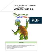 04 - Métabolisme Acides Aminés