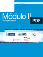 Módulo II Psicopedagogía - Final