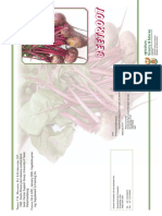 Brochure Beetroot