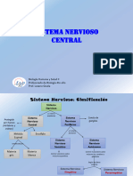 4.-Sistema Nervioso SNC 1