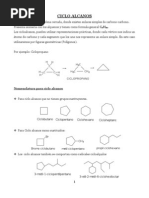 Ciclo Alcanos