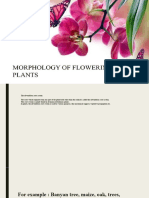 Presentation of Morphology of Flowering Plants...