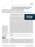 Identification of Salinity Tolerant Stable Sugarca