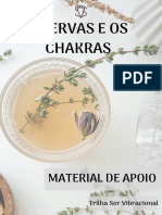 AS ERVAS E OS CHAKRAS MATERIAL DE APOIO - Trilha Ser Vibracional