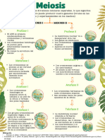 Green Natural Class Rules Poster