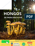 114 Hongos de Principio A Fin