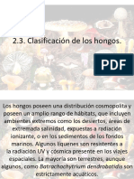 2.3. Clasificación de Los Hongos