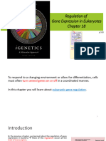 Chapter 18 Regulation of Gene Expression in Eukaryotes Part 1 PDF