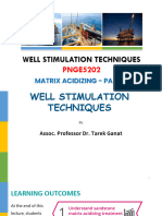 WST - Matrix Acidizing Part 3