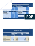 Ratio Analysis Template