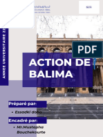 Action de Balima