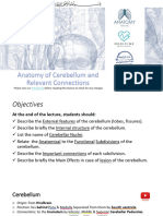 14 - Anatomy of Cerebellum (Edited) 2