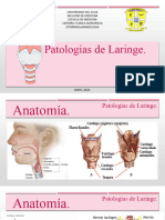 Patologias de Laringe