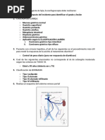 Examen Gastro